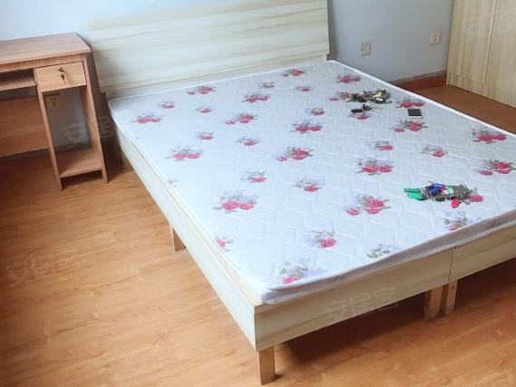 泰安东区玩具折扣