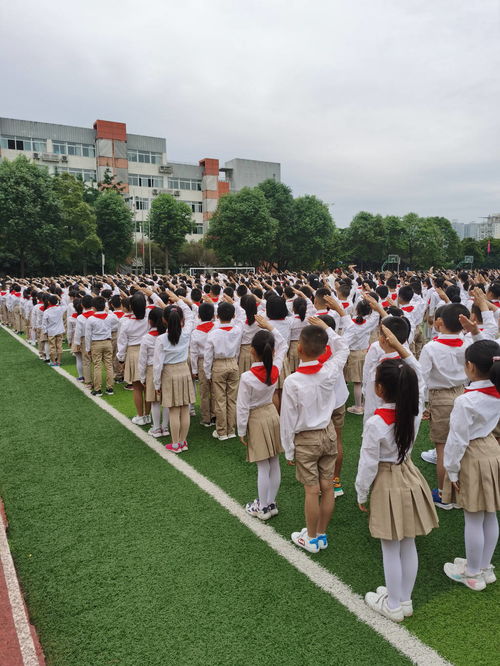 小学围棋体育教案