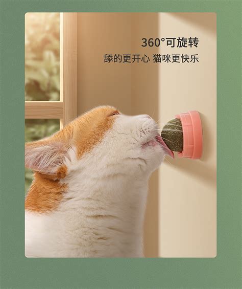 猫咪玩具球图片