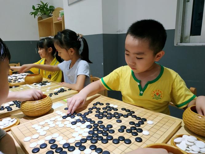 宁波围棋协会官网报名