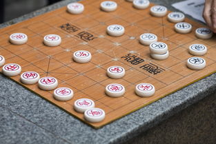 围棋被提花