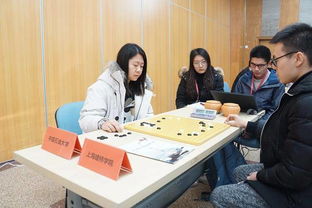 学校围棋社团组织结构