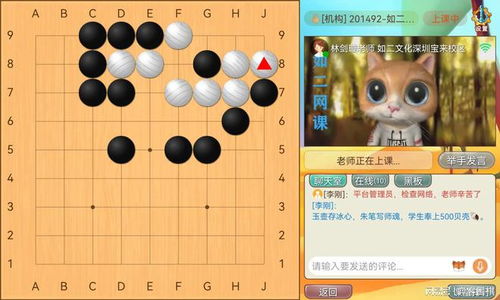 围棋教师风采个人简介