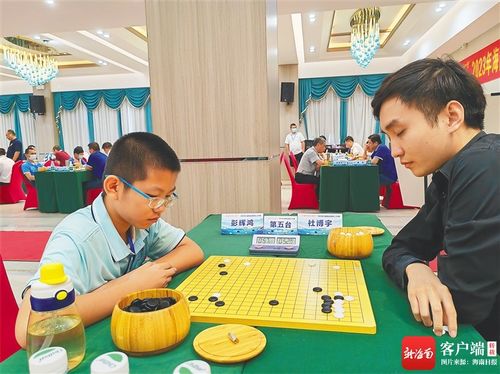 海南省围棋公开赛