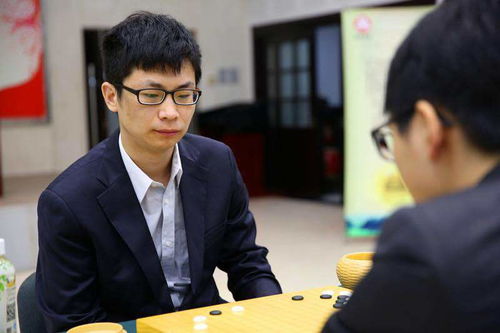 孟泰龄围棋讲解视频