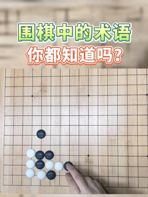 围棋专业术语猜黑