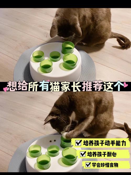 猫咪误食毛绒玩具