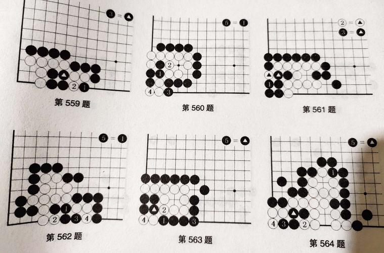 围棋刚学是几段