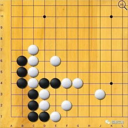 日本围棋著名棋手