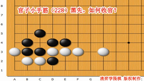 买围棋怎么选