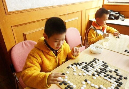 围棋讲座观后感