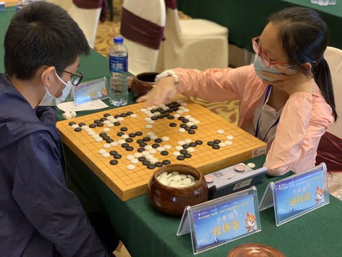 乐弈围棋有限公司