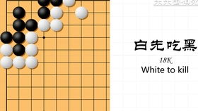 围棋死活讲解视频高级