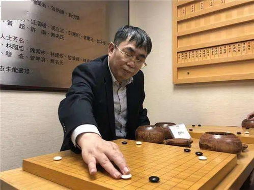 围棋高手聂卫平的简历