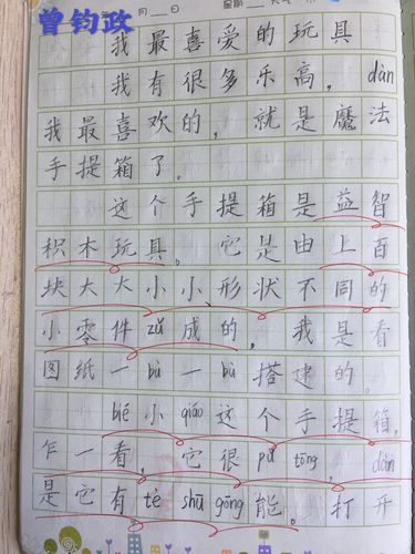 玩具日记100个字