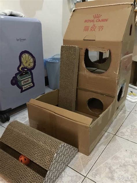 怎么用纸板给猫咪做玩具