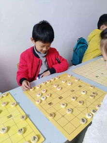 少年宫围棋班如何收费