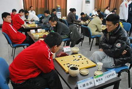 北京市围棋少年队