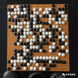 看围棋平台