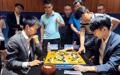 梓豪围棋冠军