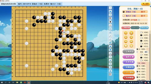 围棋的级别和段位哪个级别高
