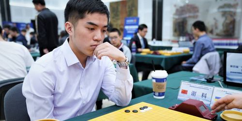 南京围棋一对一家教价格