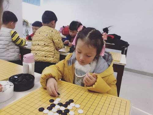 宁夏围棋协会官网