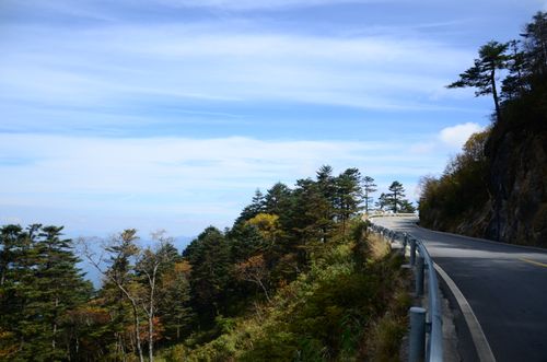 神农架旅游报团多少钱