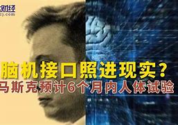 双频脑机接口系统利用主视眼效应实现高效解码的新突破