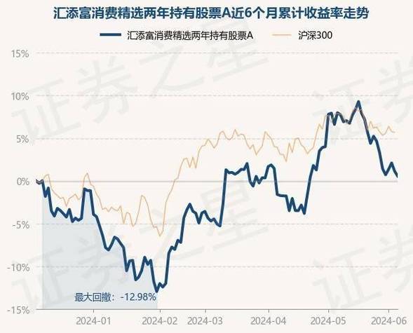 月日润泽科技股价重挫，汇添富互联网核心资产六个月持有混合基金面临考验