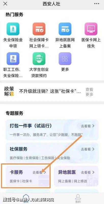 四核与双核处理器，差异解析及应用领域探讨