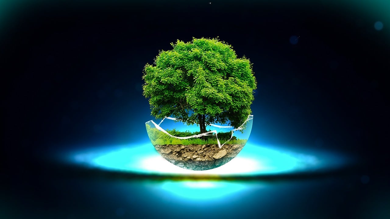 苹果或恢复指纹，生物识别技术的未来之路