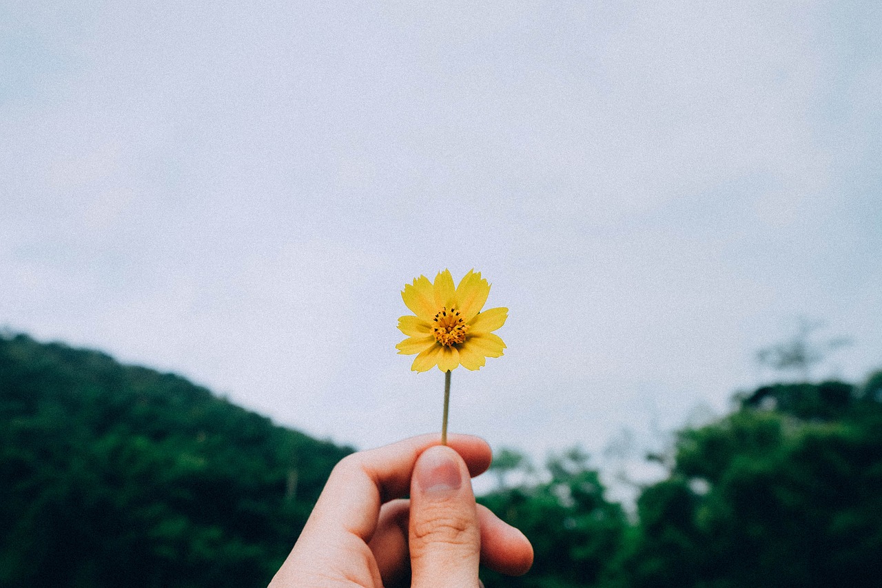 一首温暖人心的旋律