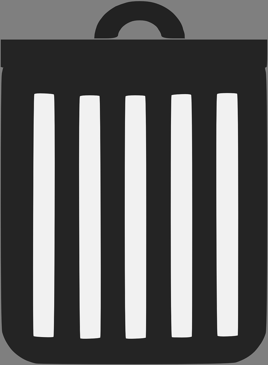 !bin/bash