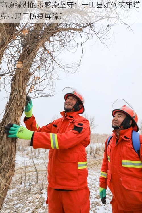 高原绿洲的零感染坚守：于田县如何筑牢塔克拉玛干防疫屏障？