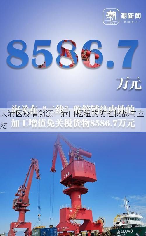 大港区疫情溯源：港口枢纽的防控挑战与应对
