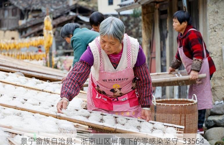 景宁畲族自治县：浙南山区屏障下的零感染坚守_33564