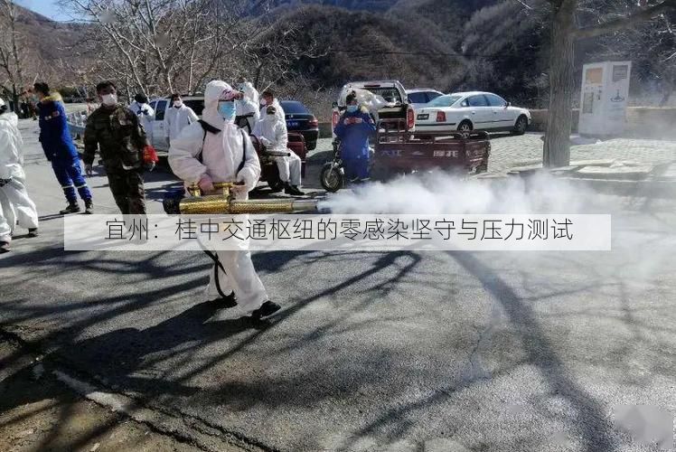 宜州：桂中交通枢纽的零感染坚守与压力测试
