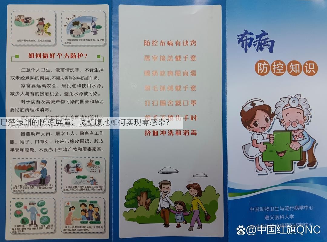 巴楚绿洲的防疫屏障:戈壁腹地如何实现零感染?