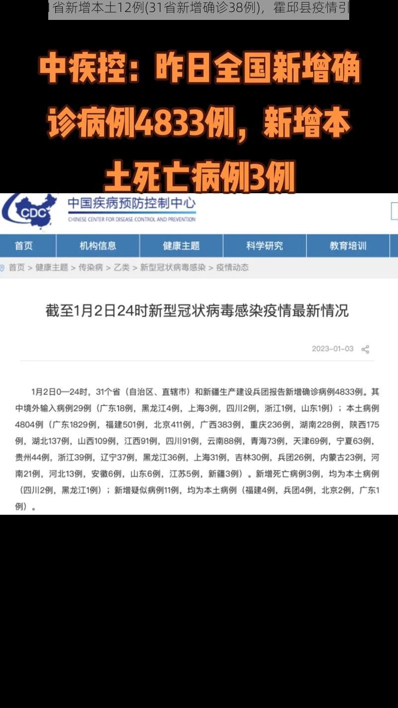 【31省新增本土12例(31省新增确诊38例)，霍邱县疫情引关注】