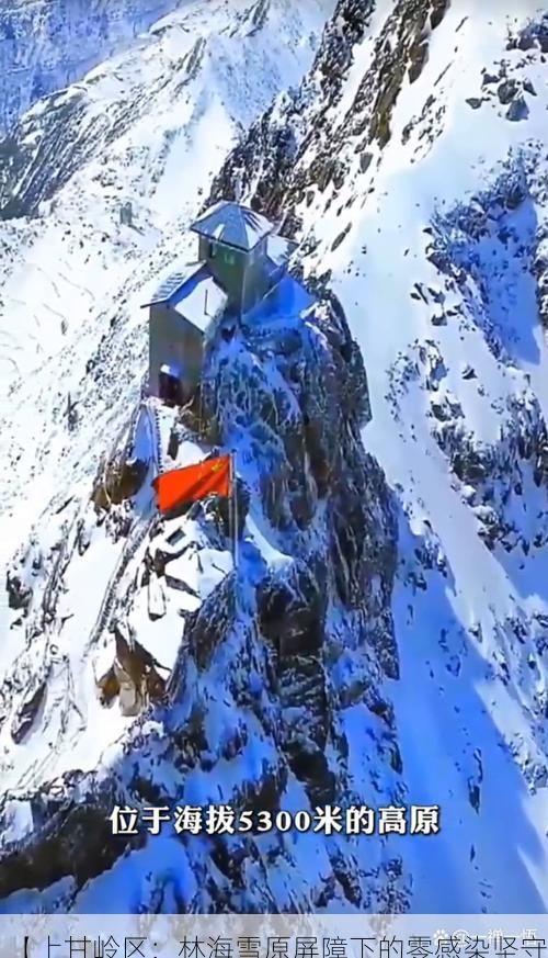 【上甘岭区：林海雪原屏障下的零感染坚守】