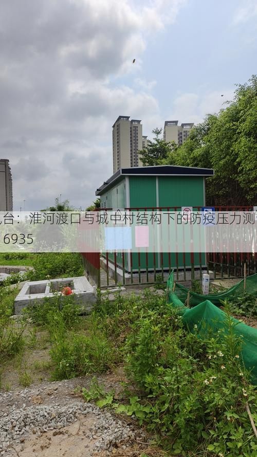 凤台：淮河渡口与城中村结构下的防疫压力测试_16935