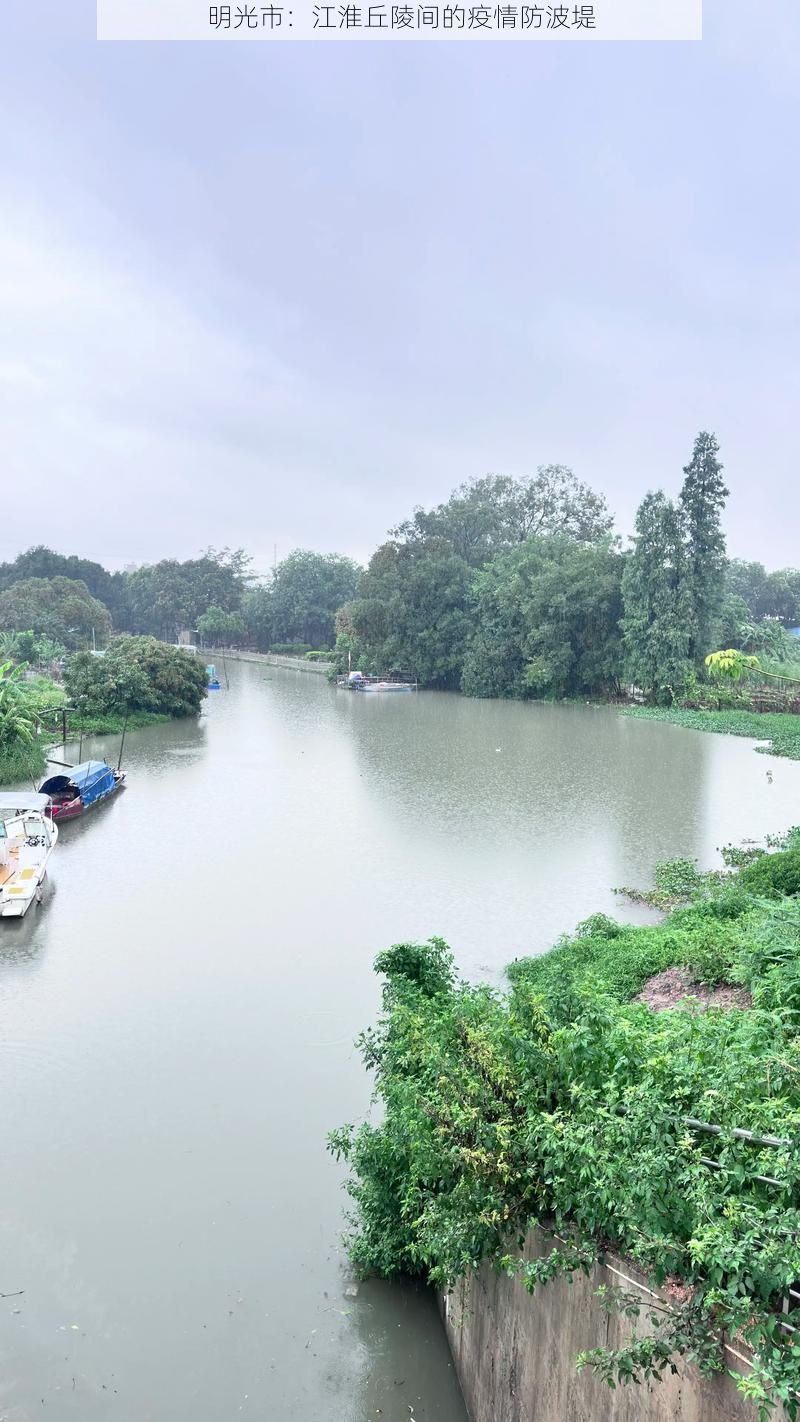 明光市:江淮丘陵间的疫情防波堤