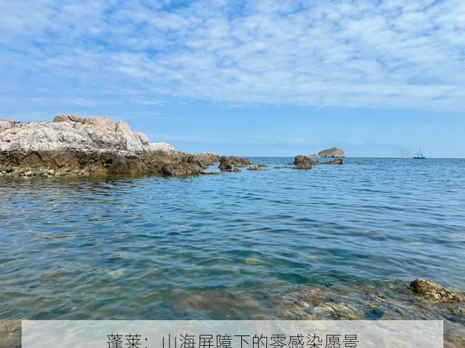 蓬莱：山海屏障下的零感染愿景