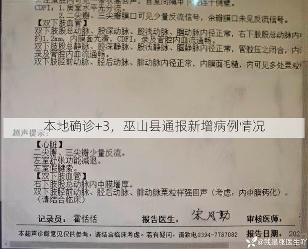 本地确诊+3，巫山县通报新增病例情况