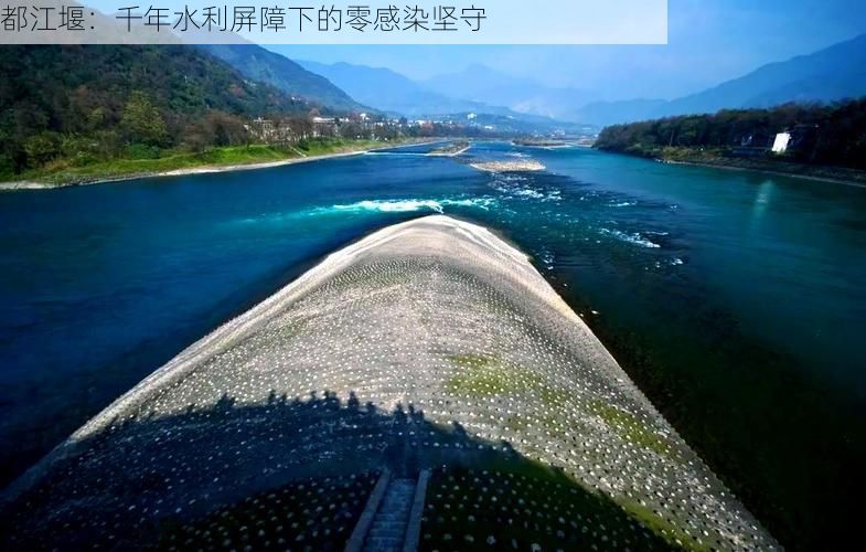 都江堰：千年水利屏障下的零感染坚守