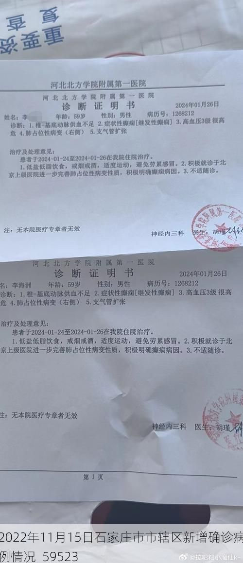2022年11月15日石家庄市市辖区新增确诊病例情况_59523