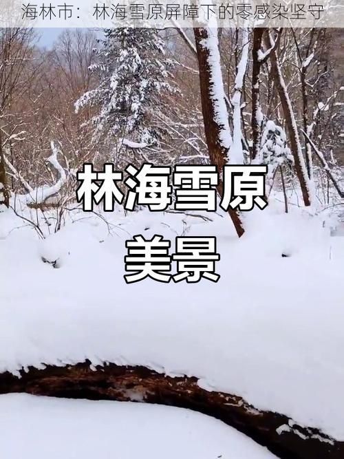 海林市：林海雪原屏障下的零感染坚守