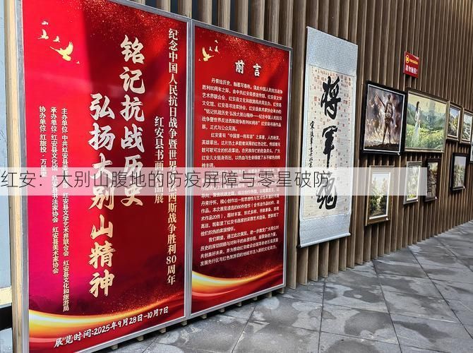 红安:大别山腹地的防疫屏障与零星破防