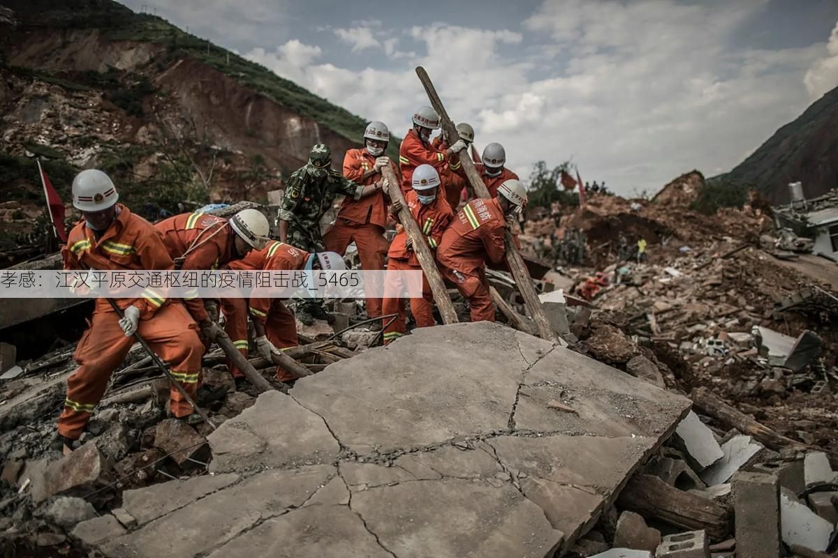 孝感：江汉平原交通枢纽的疫情阻击战_5465